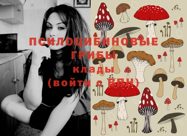 spice Михайлов