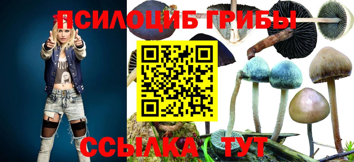 Псилоцибиновые грибы Cubensis  Югорск 