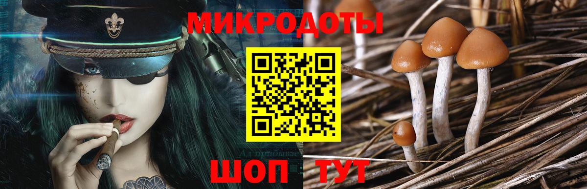 Псилоцибиновые грибы Magic Shrooms Югорск