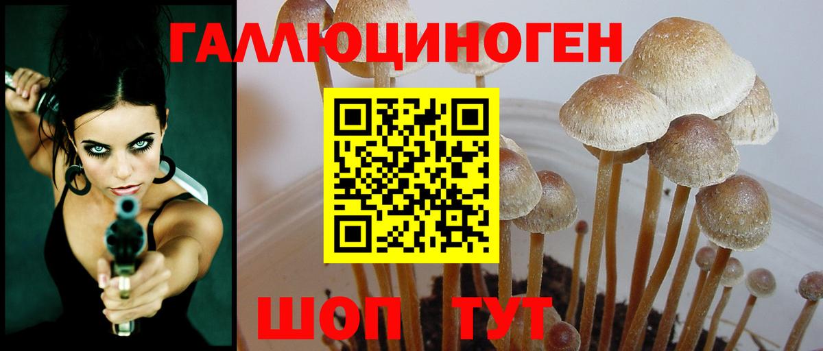 Псилоцибиновые грибы прущие грибы Югорск